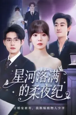 星河落满的柔夜纪海报图片