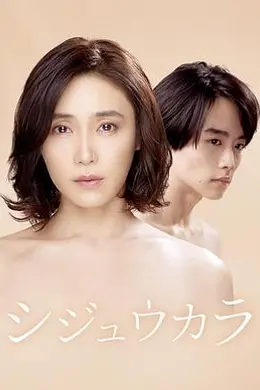 40岁开始封面图