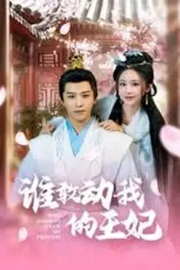 谁敢动我的王妃海报图片