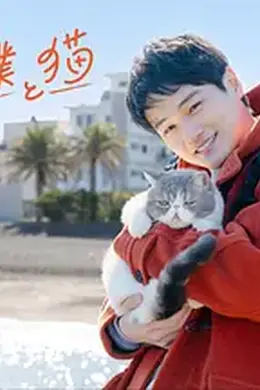 旅行和我和猫封面图