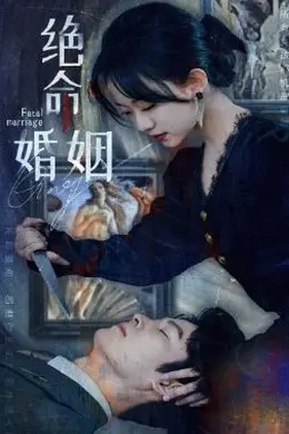 绝命婚姻海报图片