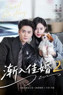 渐入佳婚2封面图