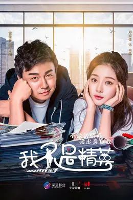 我不是精英网络版封面图