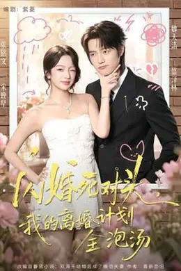 闪婚死对头，我的离婚计划全泡汤封面图