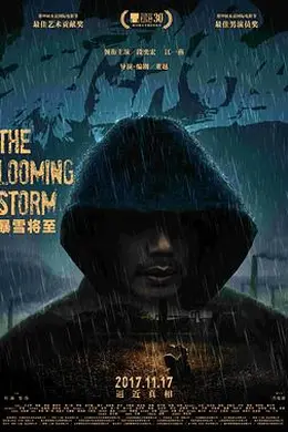 暴雪将至封面图