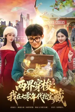 两界穿梭：我在七零年代挖宝藏海报图片
