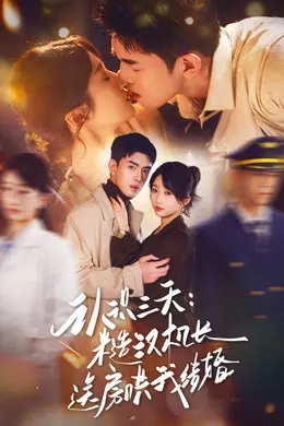 认识三天糙汉机长送房哄我结婚海报图片