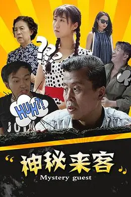 神秘来客封面图