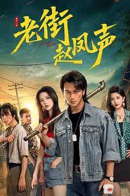 老街赵凤声海报图片
