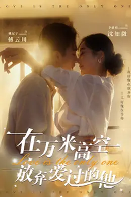 在万米高空放弃爱过的他海报图片