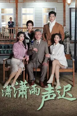 潇潇雨声迟海报图片