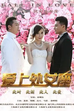 爱上处女座封面图