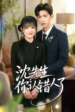沈先生你认错人了海报图片
