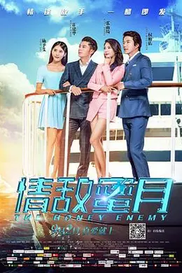 情敌蜜月封面图