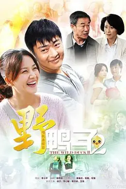野鸭子2封面图