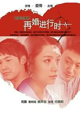 再婚进行时封面图