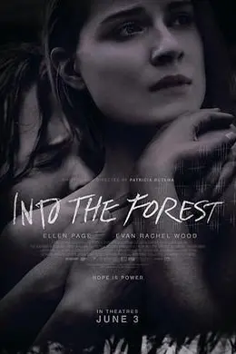 森林深处封面图