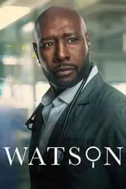 华生 第二季海报图片