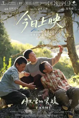 月光里的男孩封面图