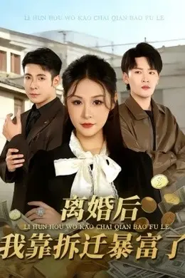 离婚后，我靠拆迁暴富了海报图片