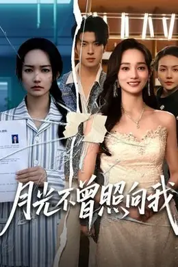 月光不曾照向我封面图
