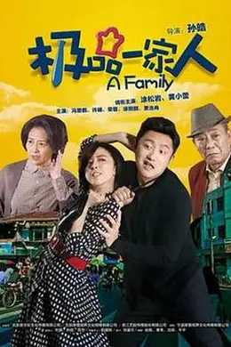 极品一家人封面图