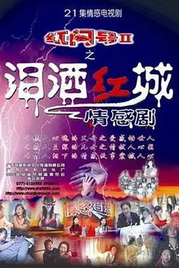 泪洒红城封面图