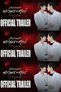 维纳斯的新郎封面图