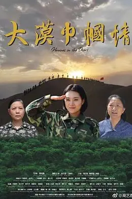 大漠巾帼情封面图