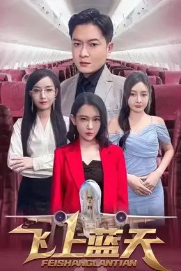 飞上蓝天海报图片