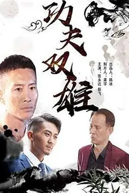 功夫双雄封面图