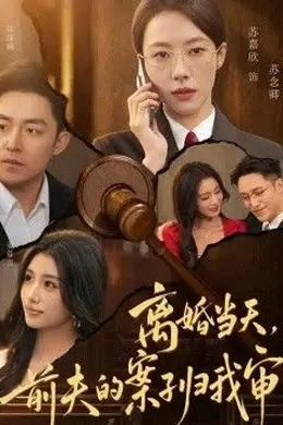 离婚当天，前夫的案子归我审封面图
