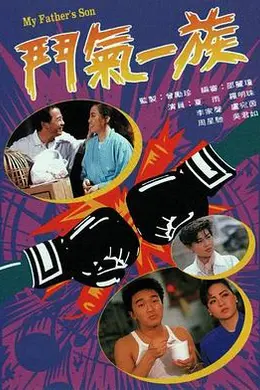 斗气一族国语封面图