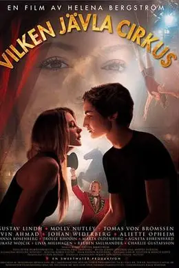 马戏团迷情封面图