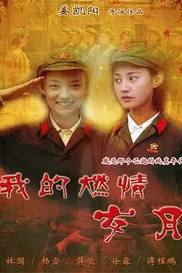 我的燃情岁月封面图