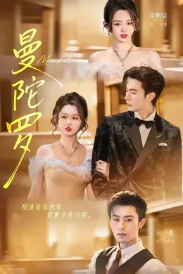 曼陀罗（2026）封面图