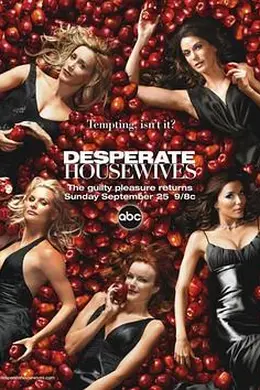 绝望主妇第二季封面图