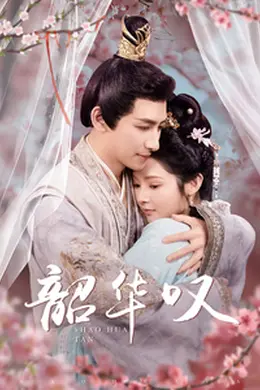 韶华叹海报图片