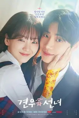 牵牛和仙女封面图