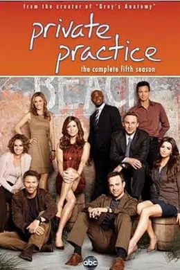 私人诊所第五季封面图