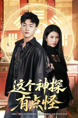 这个神探有点怪海报图片