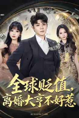 全球贬值，离婚大亨不好惹海报图片