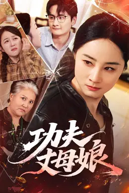 功夫丈母娘封面图