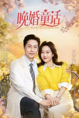 晚婚童话封面图