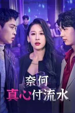 奈何真心付流水海报图片