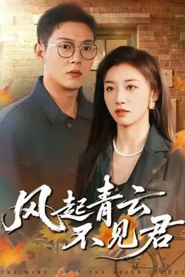 风起青云不见君封面图