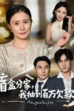 盲盒分家，我抽到百万欠款海报图片