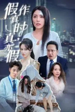 假作真时真亦假海报图片