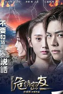 危情密友封面图