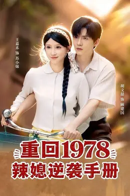 重回1978辣媳逆袭手册海报图片